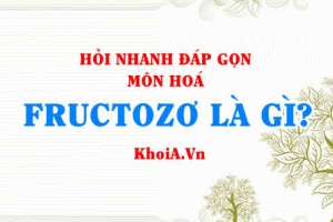 Fructozo công thức phân tử (CTPT), công thức cấu tạo (CTCT), Tính chất hoá học Fructozơ cách nhận biết